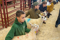 Longtown Mart Young Handlers sponsored by Farmers Guardian - 8th August 2024-13-2